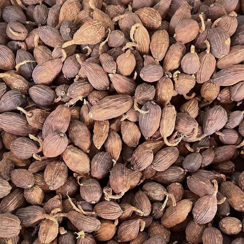 【草果】草果物美价廉量大从优产地直供