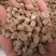 牛膝正品怀牛膝丁含量达标品相佳新货牛膝干净无杂假一赔十