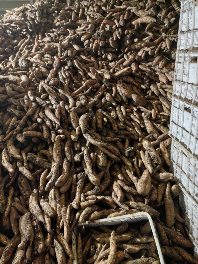 哈密通货