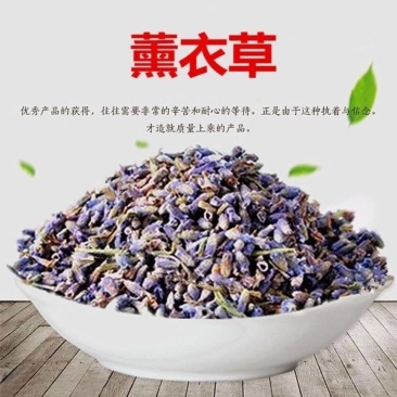 【薰衣草】薰衣草量大从优产地直供物美价廉