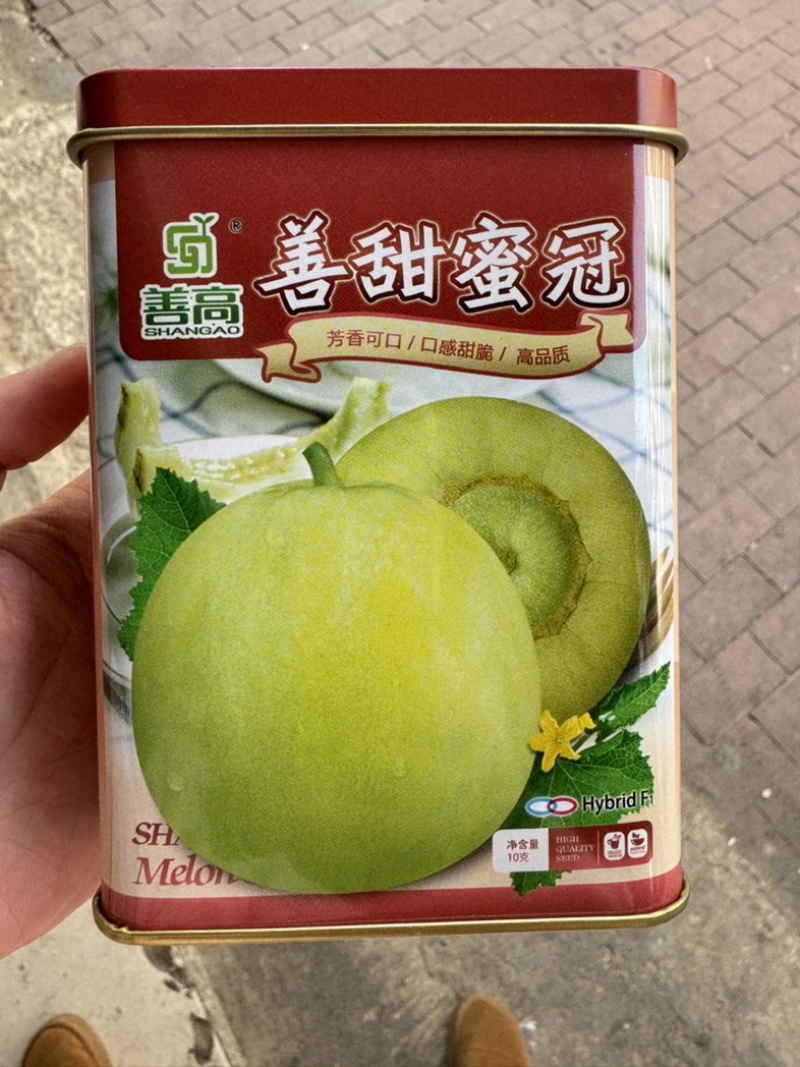 善甜蜜冠甜瓜种子，10克，又香又甜又脆