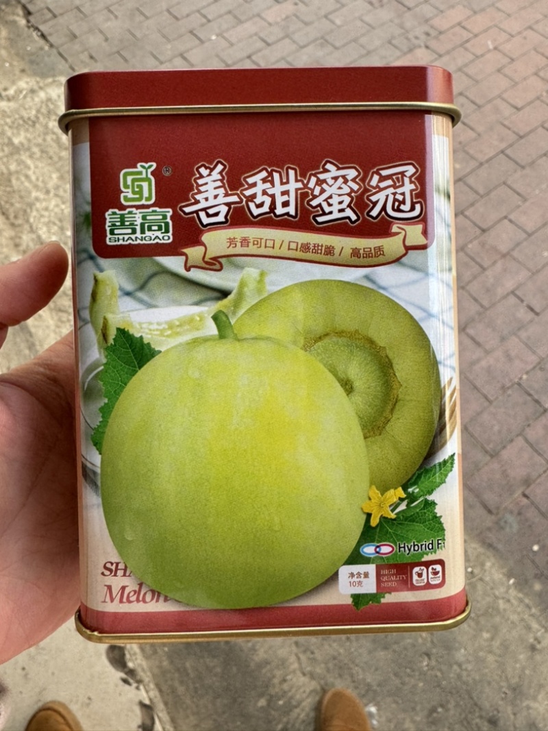 善甜蜜冠甜瓜种子，10克，又香又甜又脆