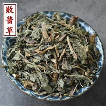 【败酱草】败酱草量大从优物美价廉产地直供