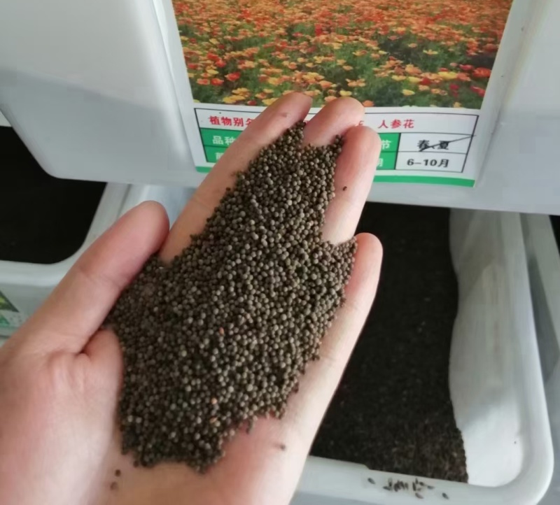 花菱草