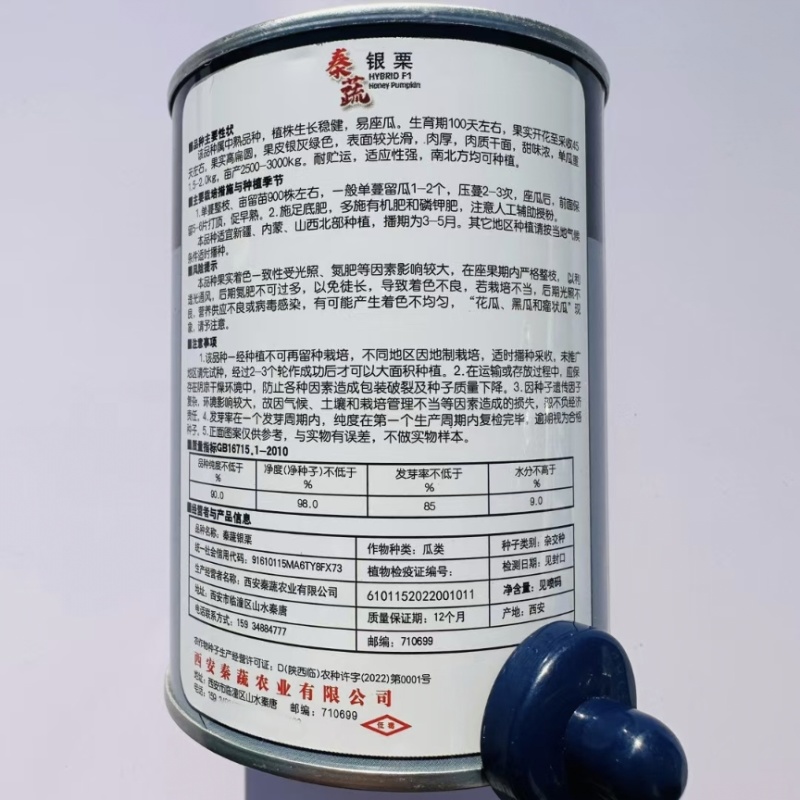 秦蔬银栗南瓜种子板栗南瓜种籽香甜干面肉厚杂交银灰色南瓜
