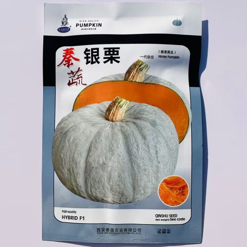 秦蔬银栗南瓜种子板栗南瓜种籽香甜干面肉厚杂交银灰色南瓜