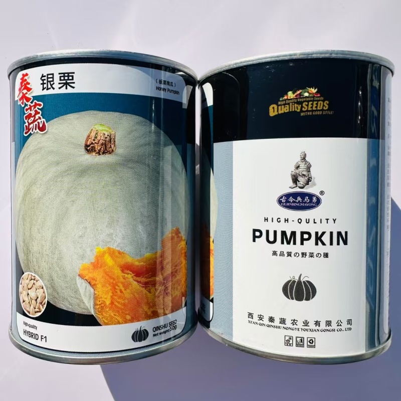 秦蔬银栗南瓜种子板栗南瓜种籽香甜干面肉厚杂交银灰色南瓜