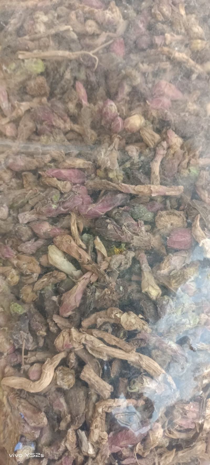 款冬花