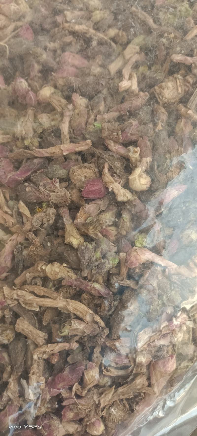 款冬花