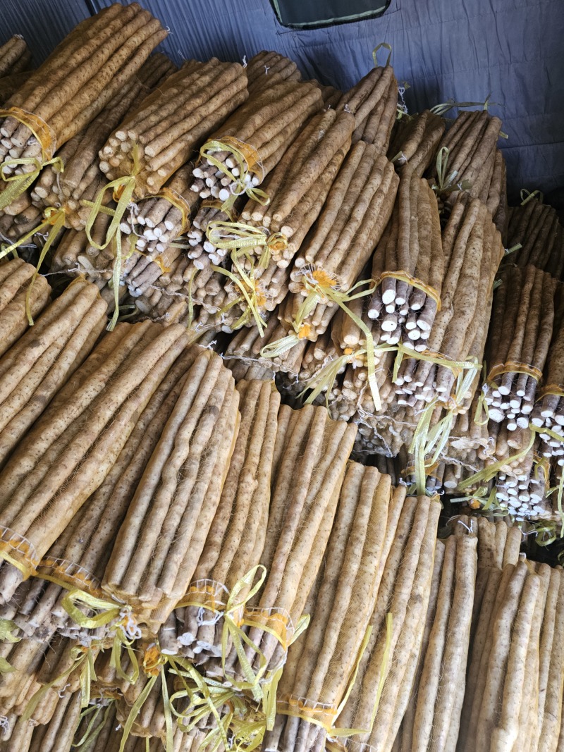 衡水小白嘴山药产地一手货源香甜可口可对接各大商超