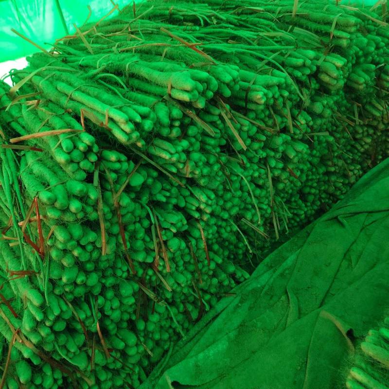 打捆好二货主流粗度2.8主流长度4567