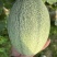 新鲜哈密瓜，甘甜多汁，天然无公害，夏日消暑**，尽享美味！