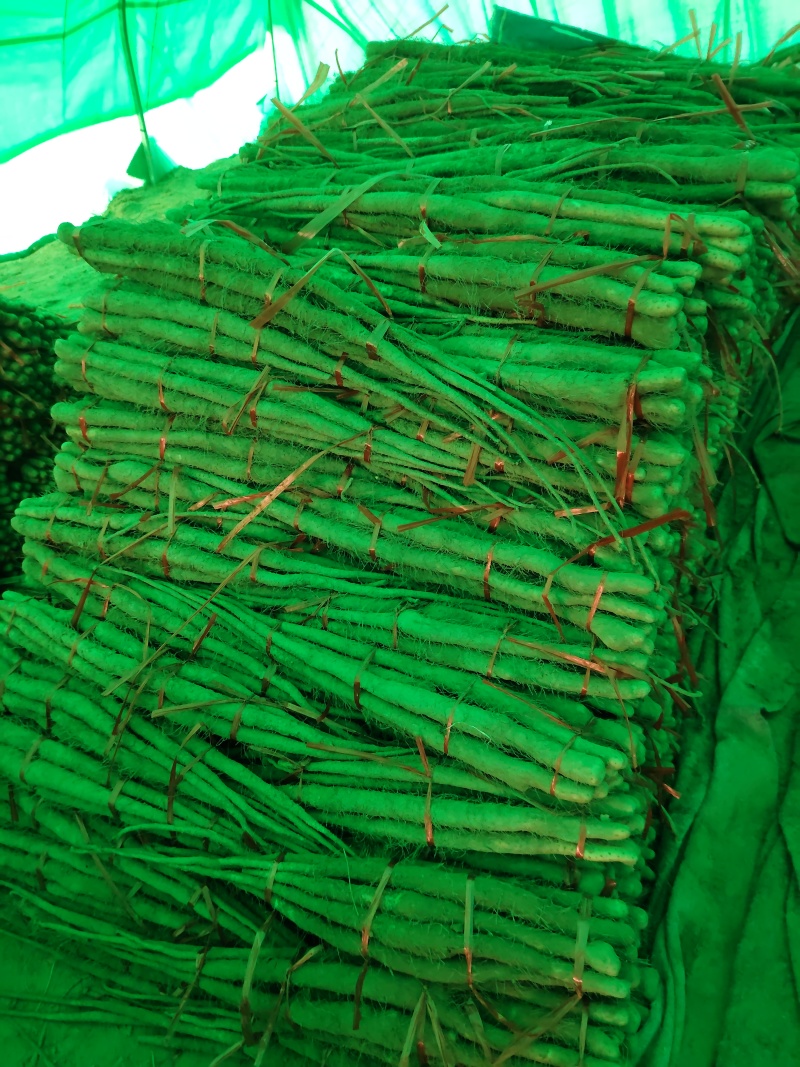 打捆好二货主流粗度2.8主流长度4567