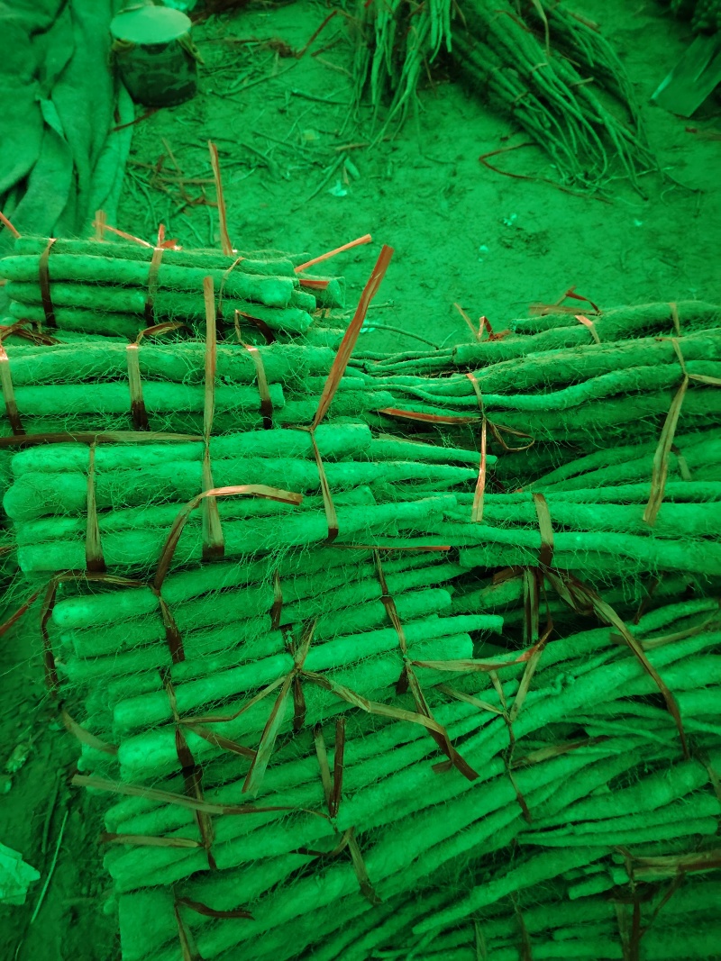 打捆好二货主流粗度2.8主流长度4567