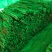 打捆好二货主流粗度2.8主流长度4567