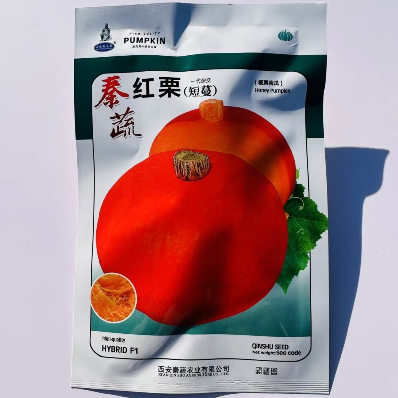 秦蔬红栗南瓜种子短蔓板栗南瓜种子早熟甜面粉南瓜种籽橙黄肉