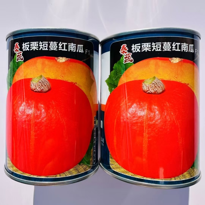 秦蔬红栗南瓜种子短蔓板栗南瓜种子早熟甜面粉南瓜种籽橙黄肉