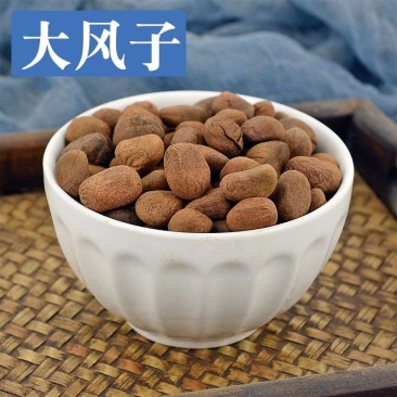 【大风子】大风子产地直供量大从优新货