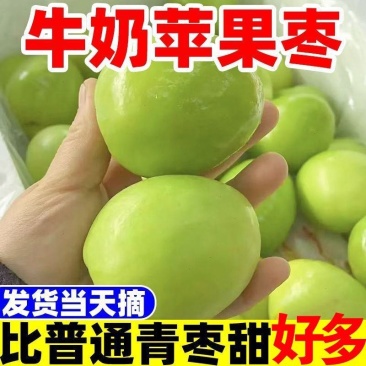 牛奶苹果枣新鲜大青枣爽脆水果云南现摘当季批发团购到发