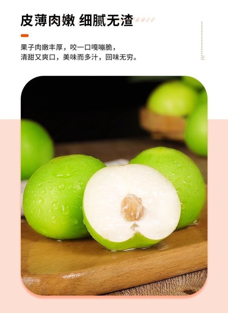 牛奶苹果枣新鲜大青枣爽脆水果云南现摘当季批发团购到发