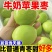 牛奶苹果枣新鲜大青枣爽脆水果云南现摘当季批发团购到发