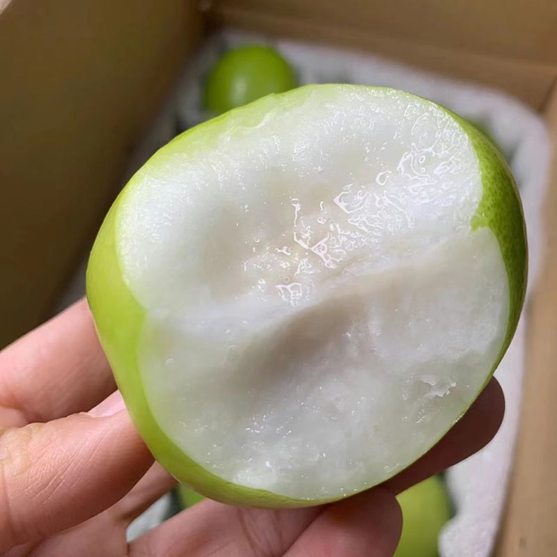 牛奶苹果枣新鲜大青枣爽脆水果云南现摘当季批发团购到发