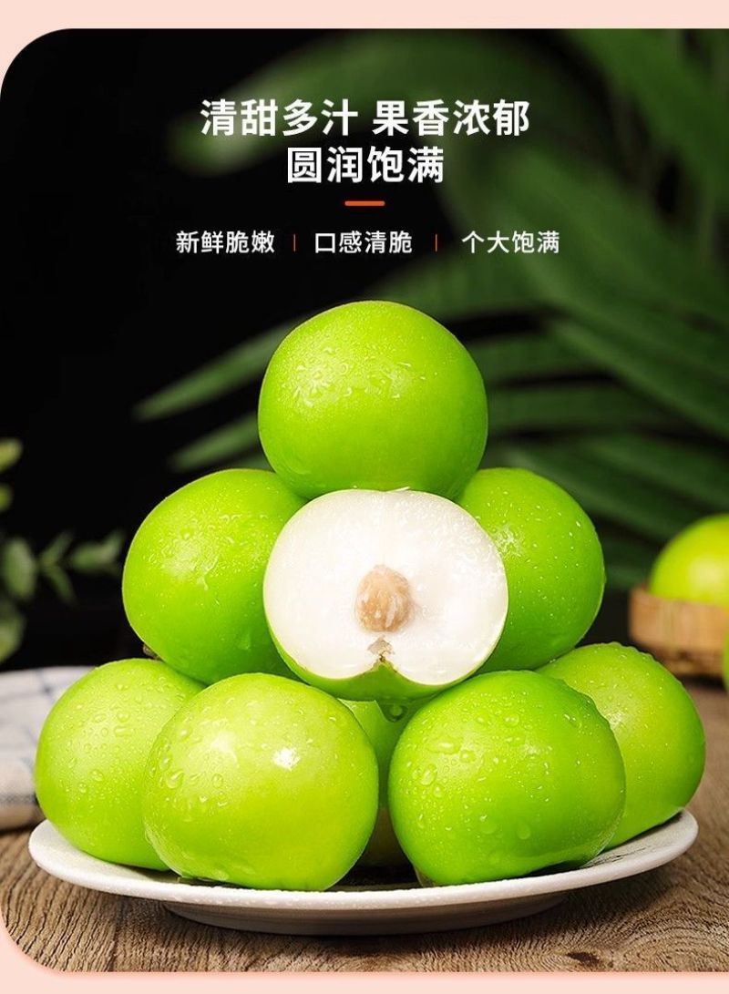 牛奶苹果枣新鲜大青枣爽脆水果云南现摘当季批发团购到发