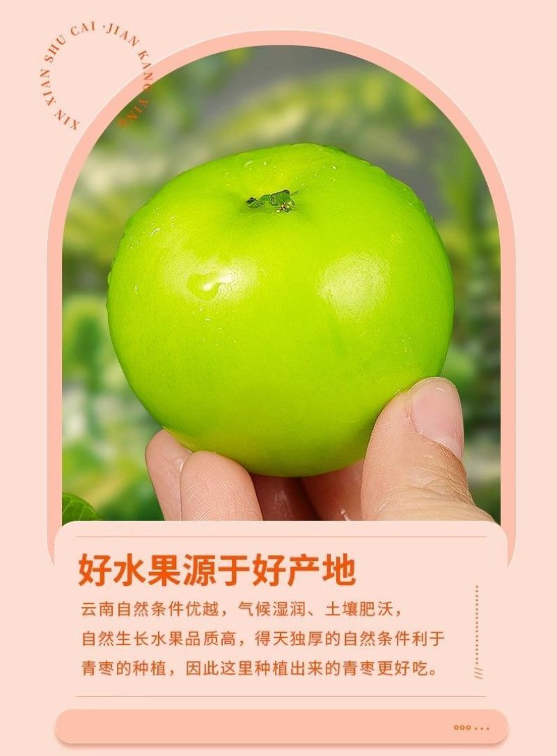 牛奶苹果枣新鲜大青枣爽脆水果云南现摘当季批发团购到发