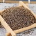 【茺蔚子】茺蔚子物美价廉量大从优产地直供