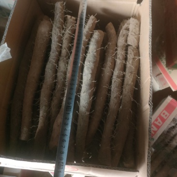 白玉装箱