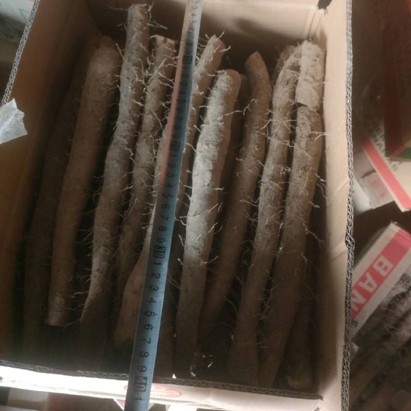 白玉装箱