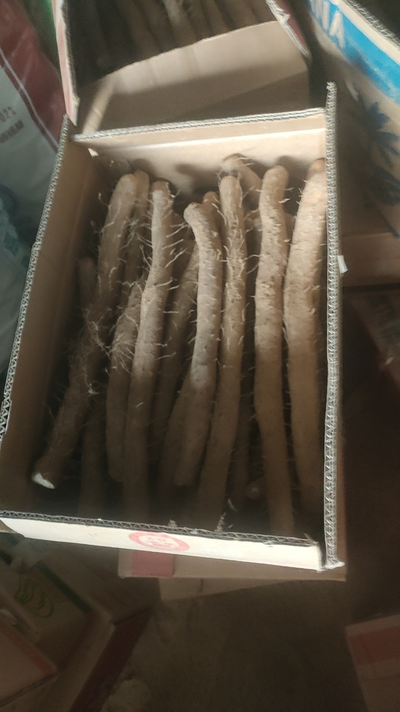 白玉装箱