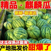当季麒麟西瓜8424超甜黑籽新鲜现摘一件代发包邮批发装车