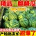当季麒麟西瓜8424超甜黑籽新鲜现摘一件代发包邮批发装车