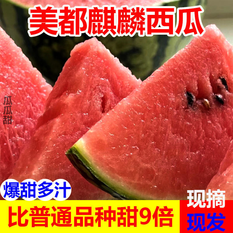 当季麒麟西瓜8424超甜黑籽新鲜现摘一件代发包邮批发装车