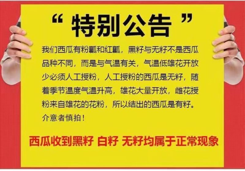 当季麒麟西瓜8424超甜黑籽新鲜现摘一件代发包邮批发装车