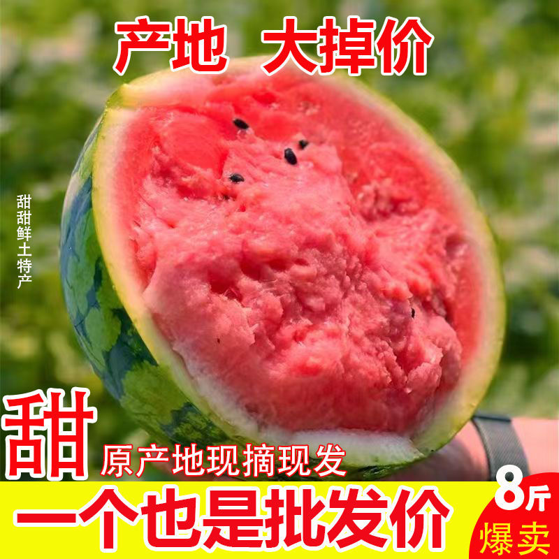 当季麒麟西瓜8424超甜黑籽新鲜现摘一件代发包邮批发装车
