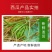 当季麒麟西瓜8424超甜黑籽新鲜现摘一件代发包邮批发装车