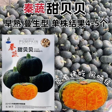 秦蔬甜贝贝南瓜种子春秋四季早熟贝贝香甜粉面小南瓜种籽杂交