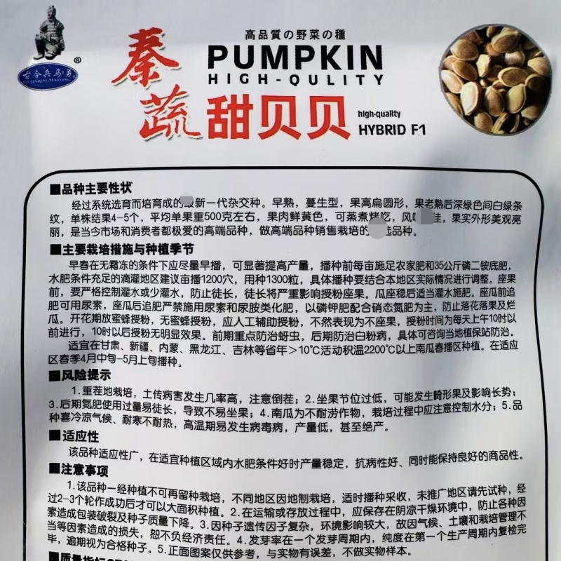 秦蔬甜贝贝南瓜种子春秋四季早熟贝贝香甜粉面小南瓜种籽杂交