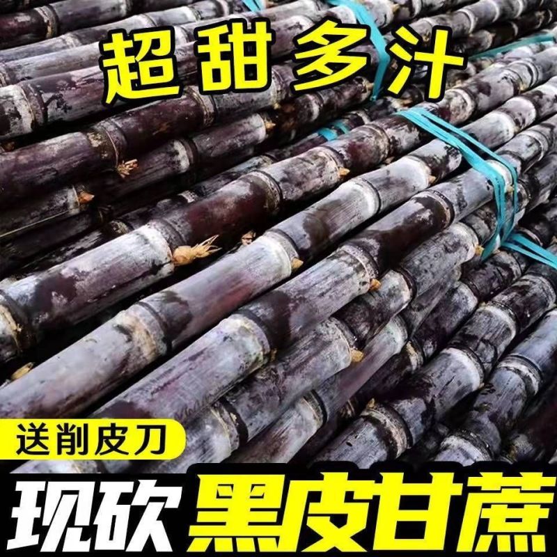 【超甜】广西黑皮甘蔗新鲜水果当季现砍紫皮薄皮整箱一件代发