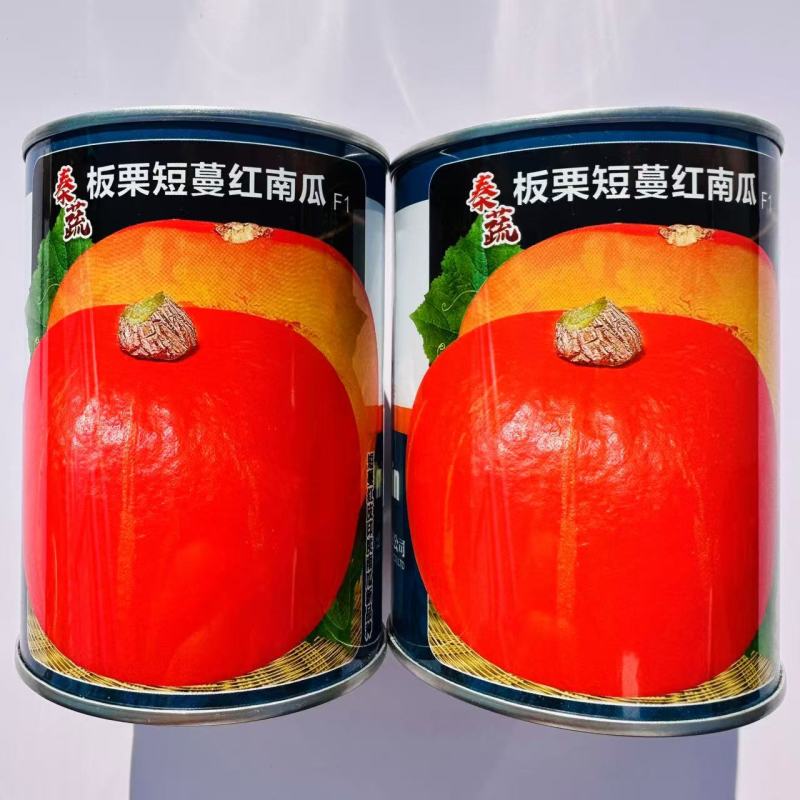 秦蔬红栗南瓜种子短蔓板栗南瓜种子早熟甜面粉南瓜种籽果肉橙