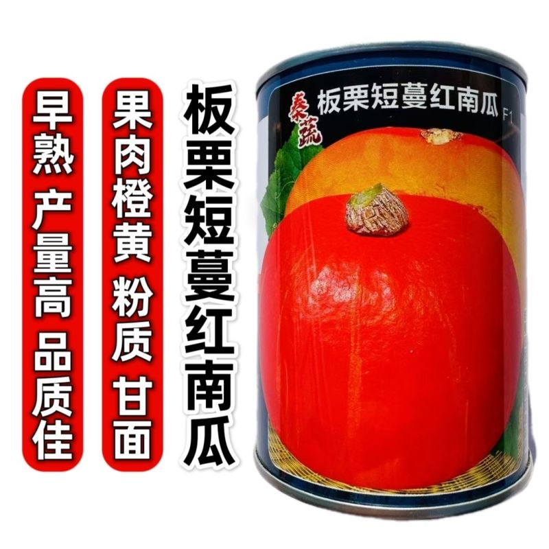 秦蔬红栗南瓜种子短蔓板栗南瓜种子早熟甜面粉南瓜种籽果肉橙