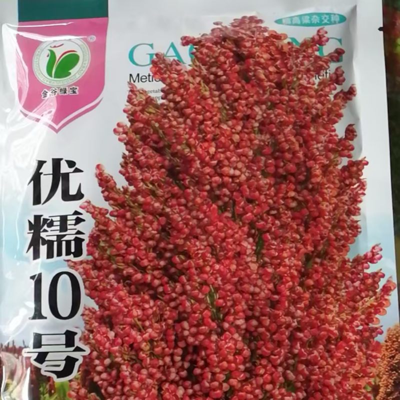糯高粱米去皮高粱粘高粱米酿酒粽子年糕豆包汤圆高粱米。