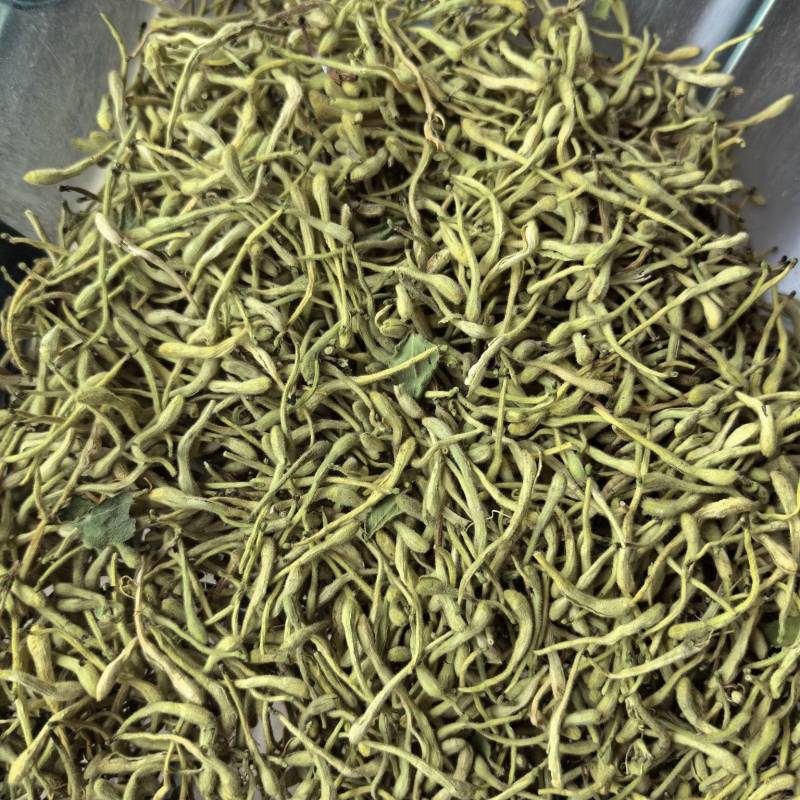 精选烘干四季金银花