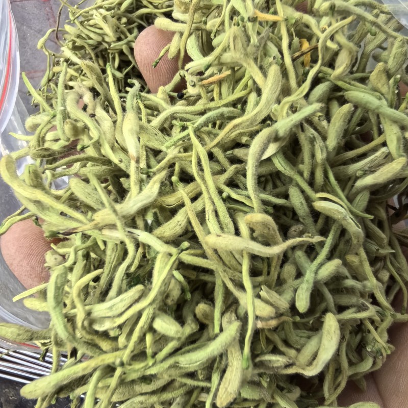 精选烘干四季金银花