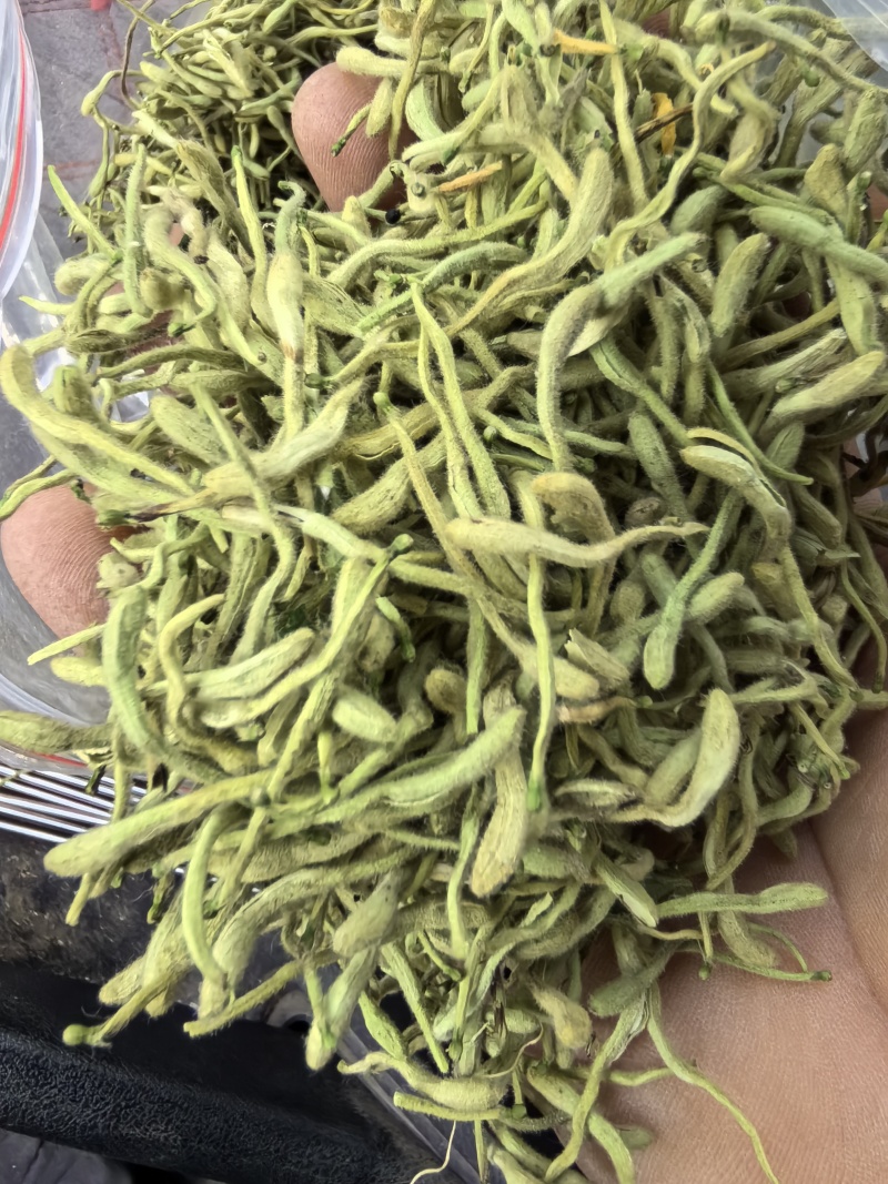 精选烘干四季金银花