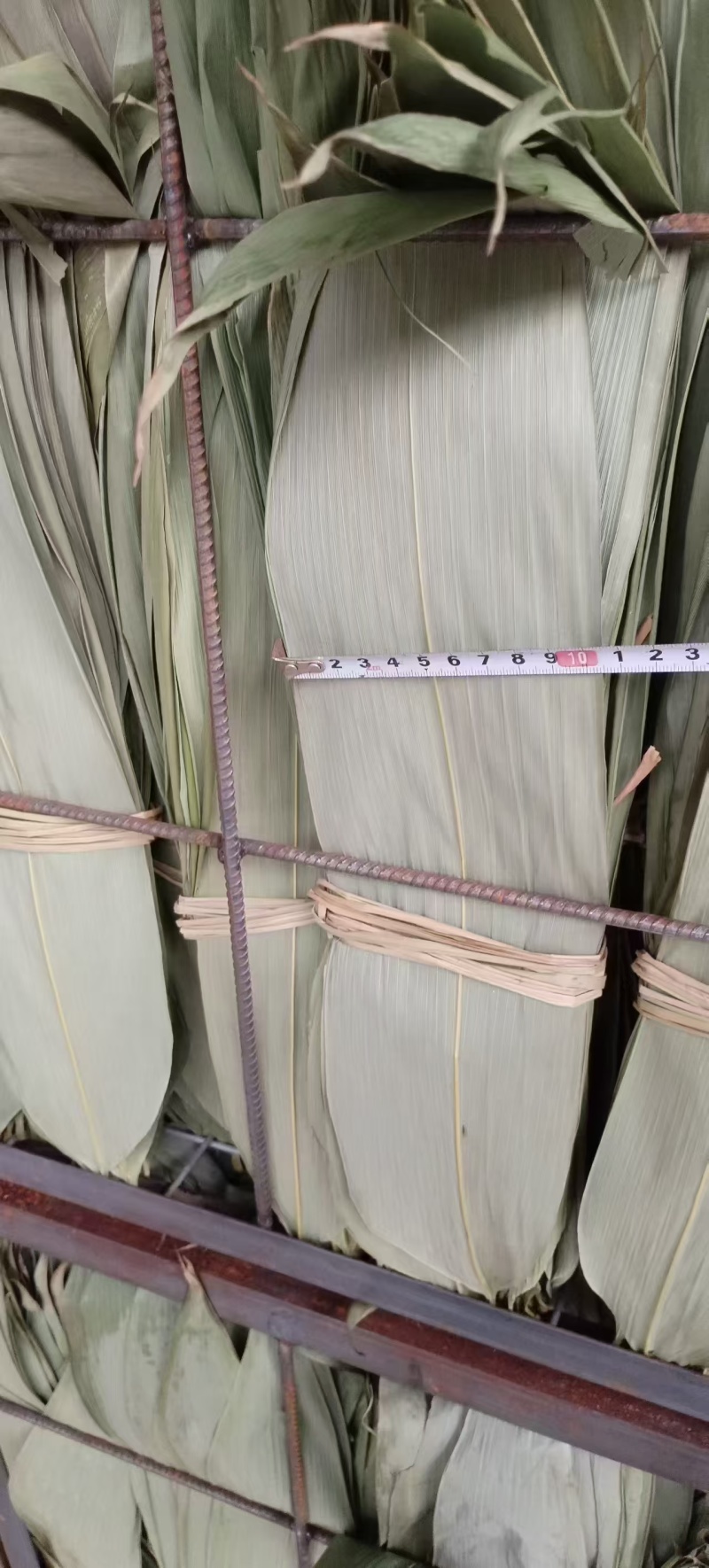 大量供应鲜叶，干叶