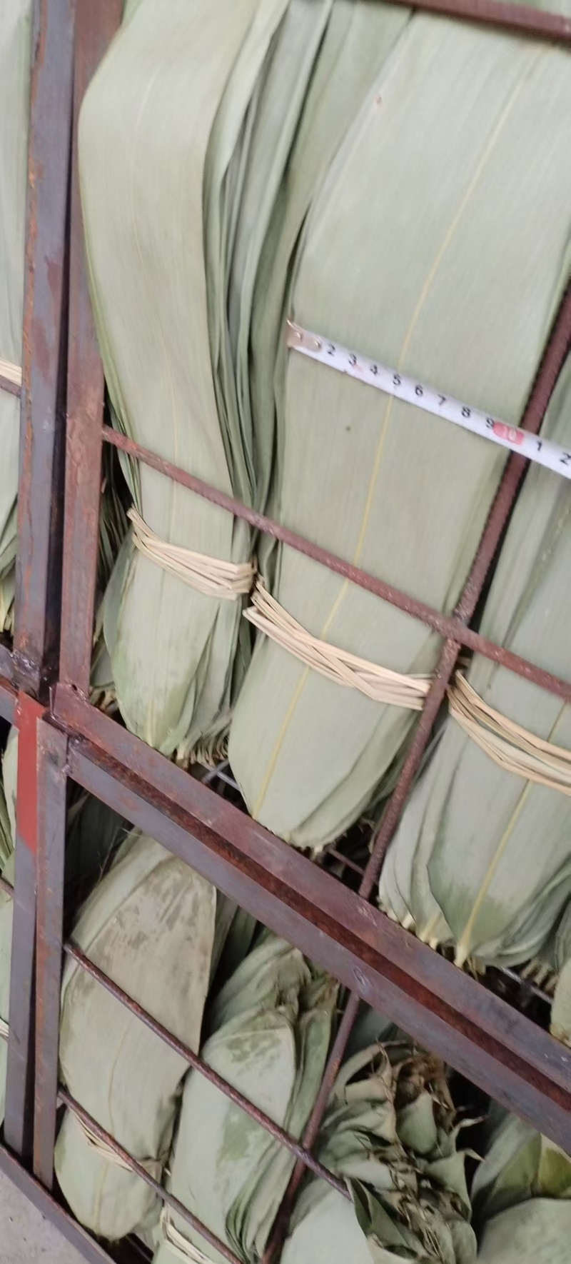 大量供应鲜叶，干叶