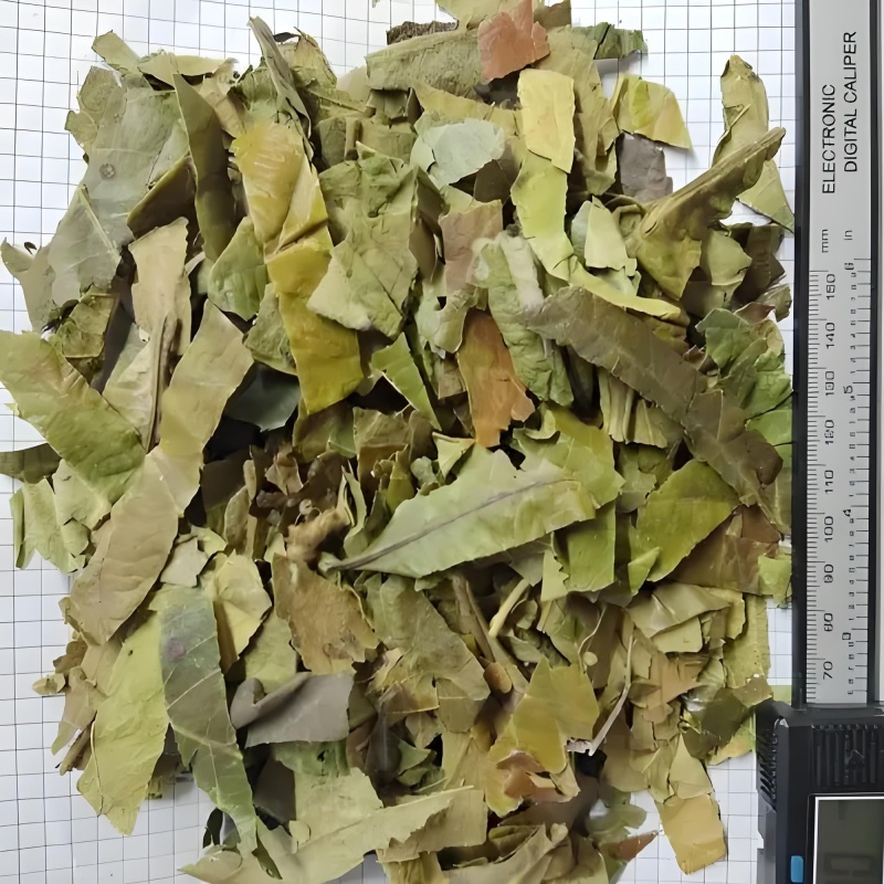 枇杷叶琵琶叶优质无硫货产地直销一手货源批发各种中药材